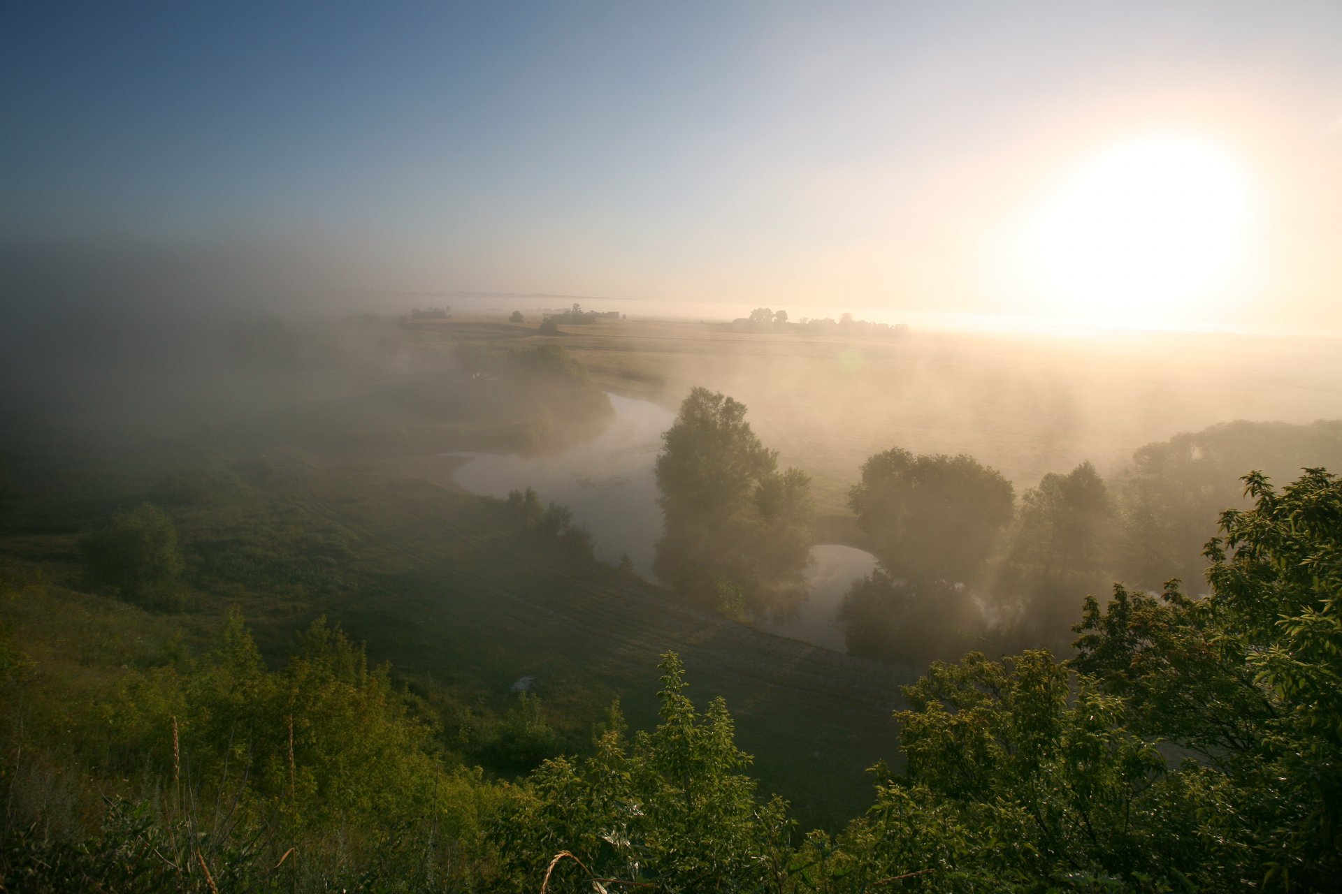 matin brouillard pré rivière été