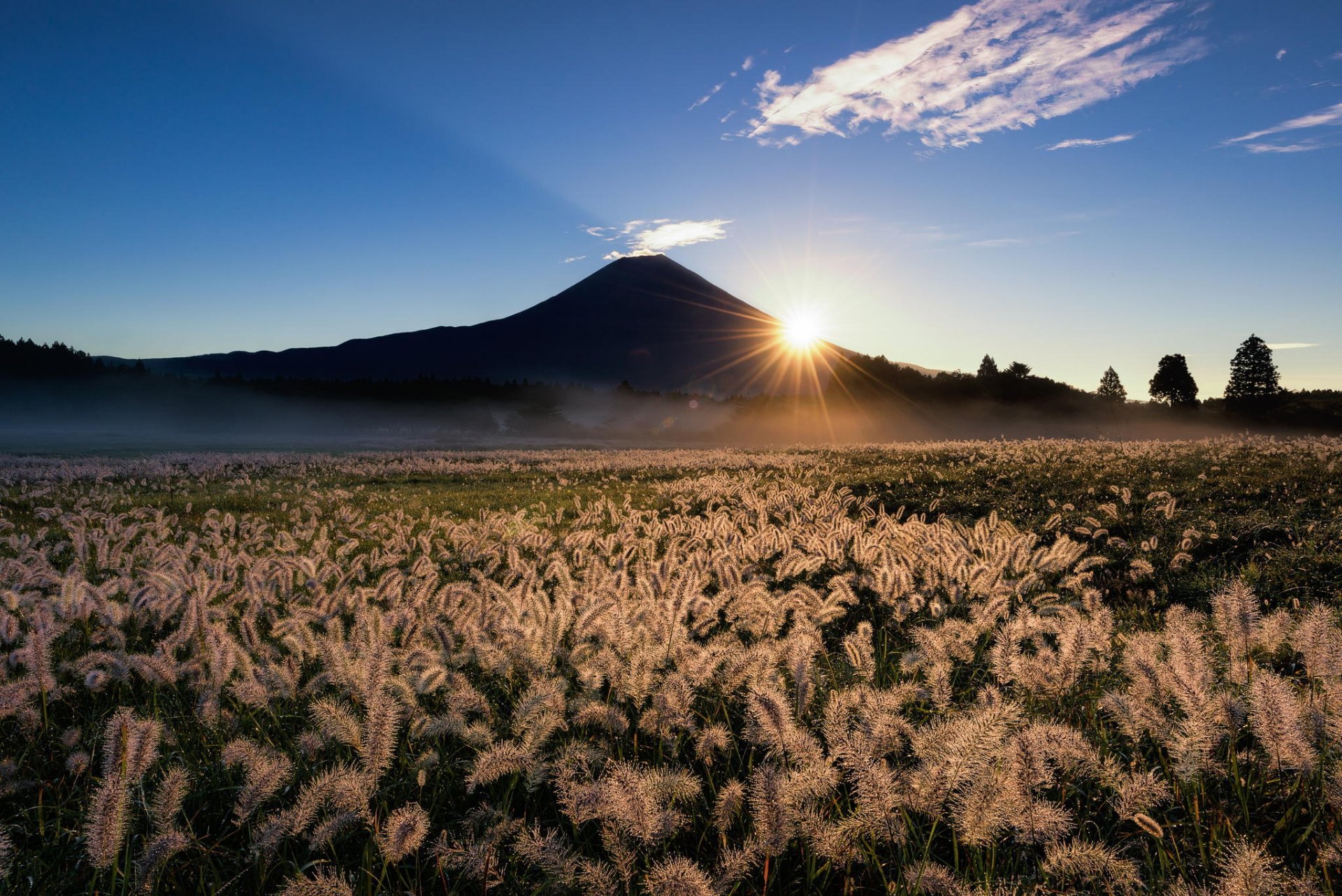 japonia fujiyama fuji góra wulkan pole kłosy trawa słońce promienie niebo natura