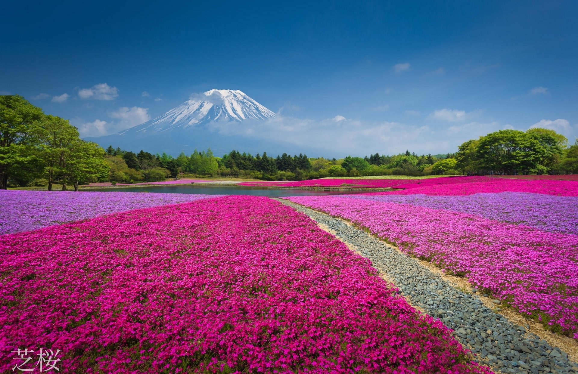 nature montagne volcan chine fleurs parterre de fleurs lac forêt parc