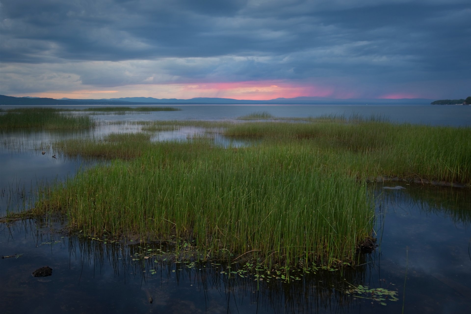 états-unis vermont lac côte herbe roseaux soir coucher de soleil bleu ciel nuages