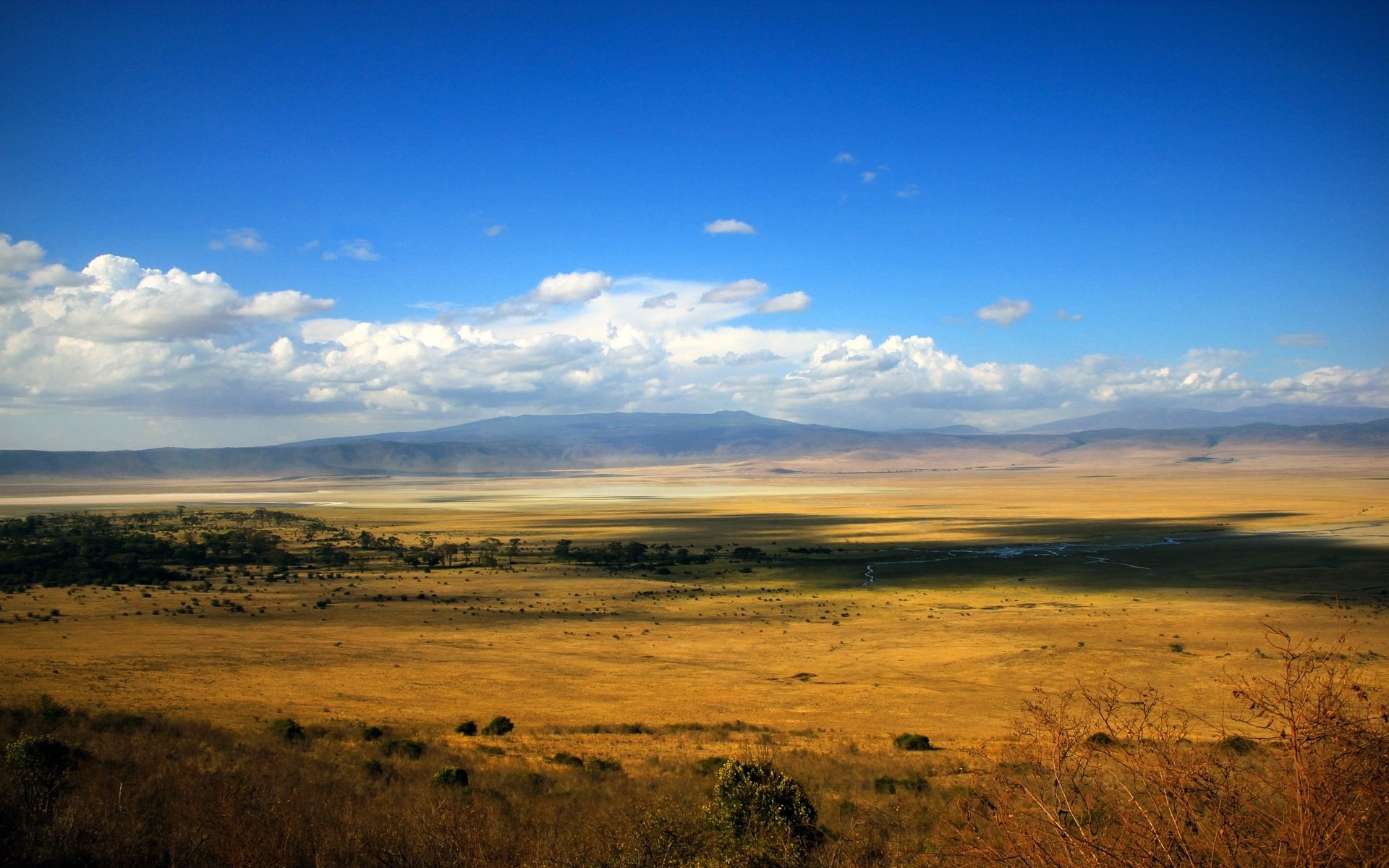 linceul loin étendue étendue champ steppe rivière arbustes nuages ciel