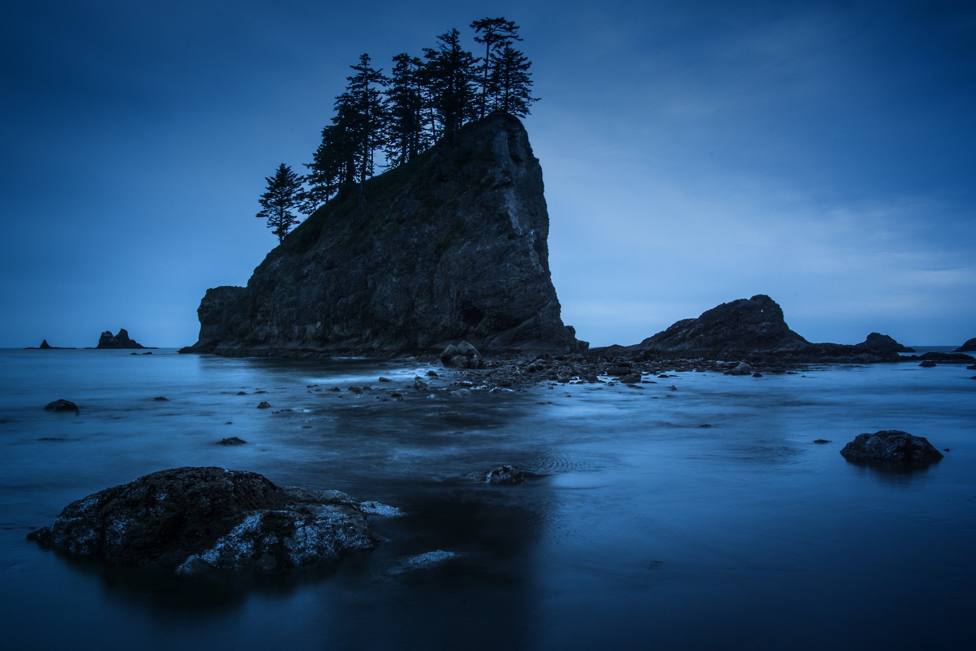 parque nacional olímpico washington noche rocas costa árboles