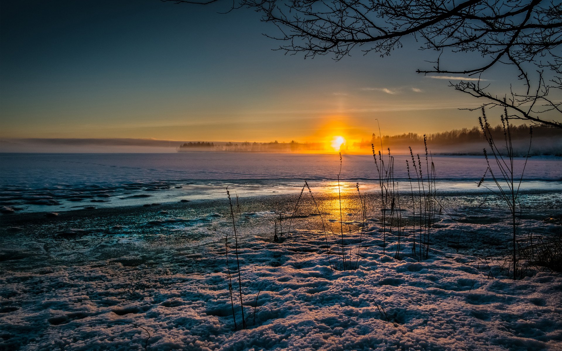 tramonto sole freddo neve inverno erba secco ghiaccio lago