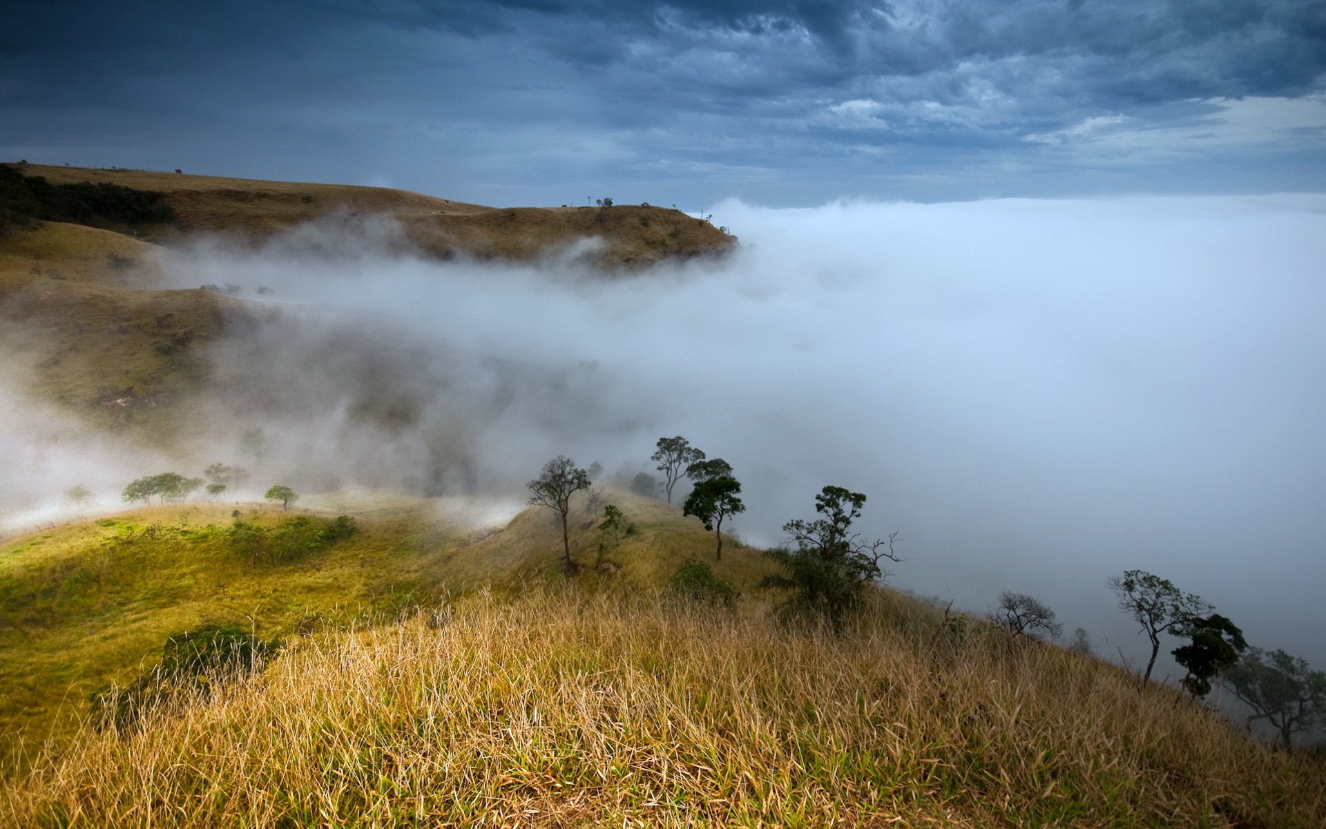 mountain fog nature