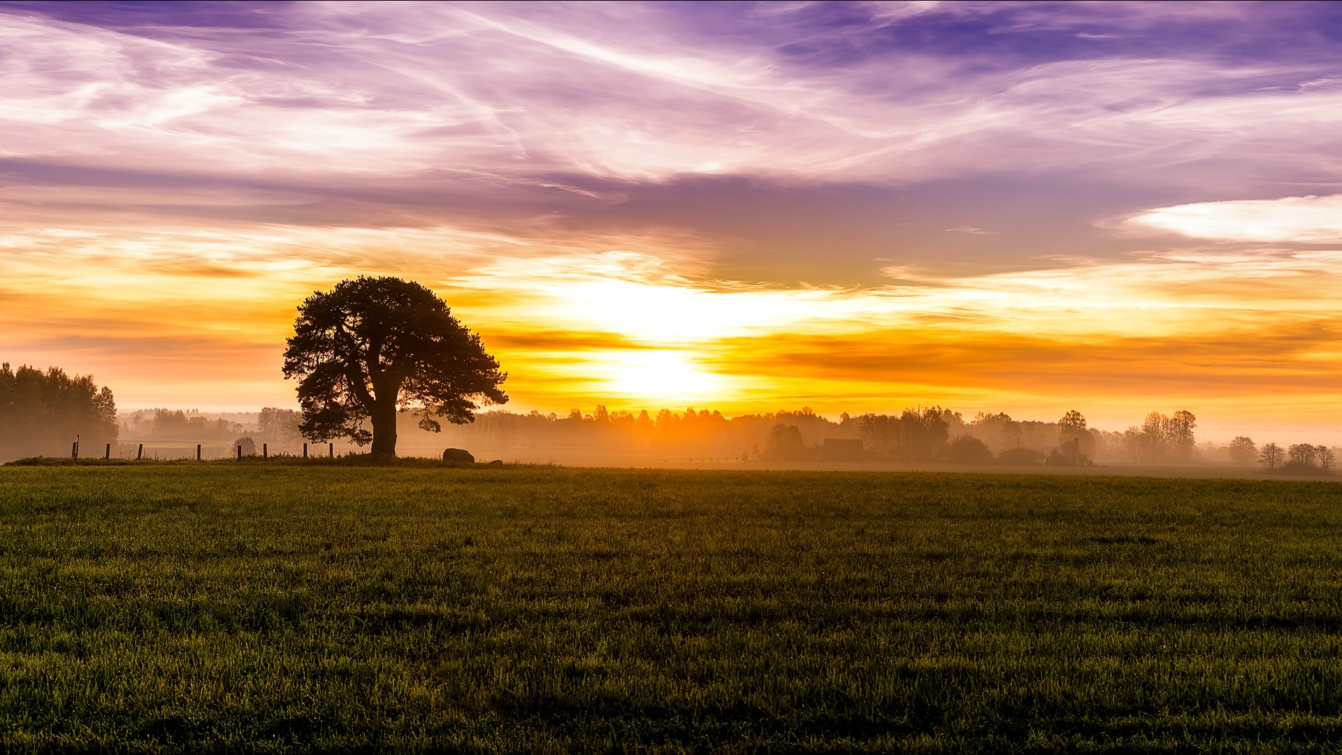 morgen morgendämmerung nebel sonne himmel wolken feld lichtung baum bäume zuhause gras