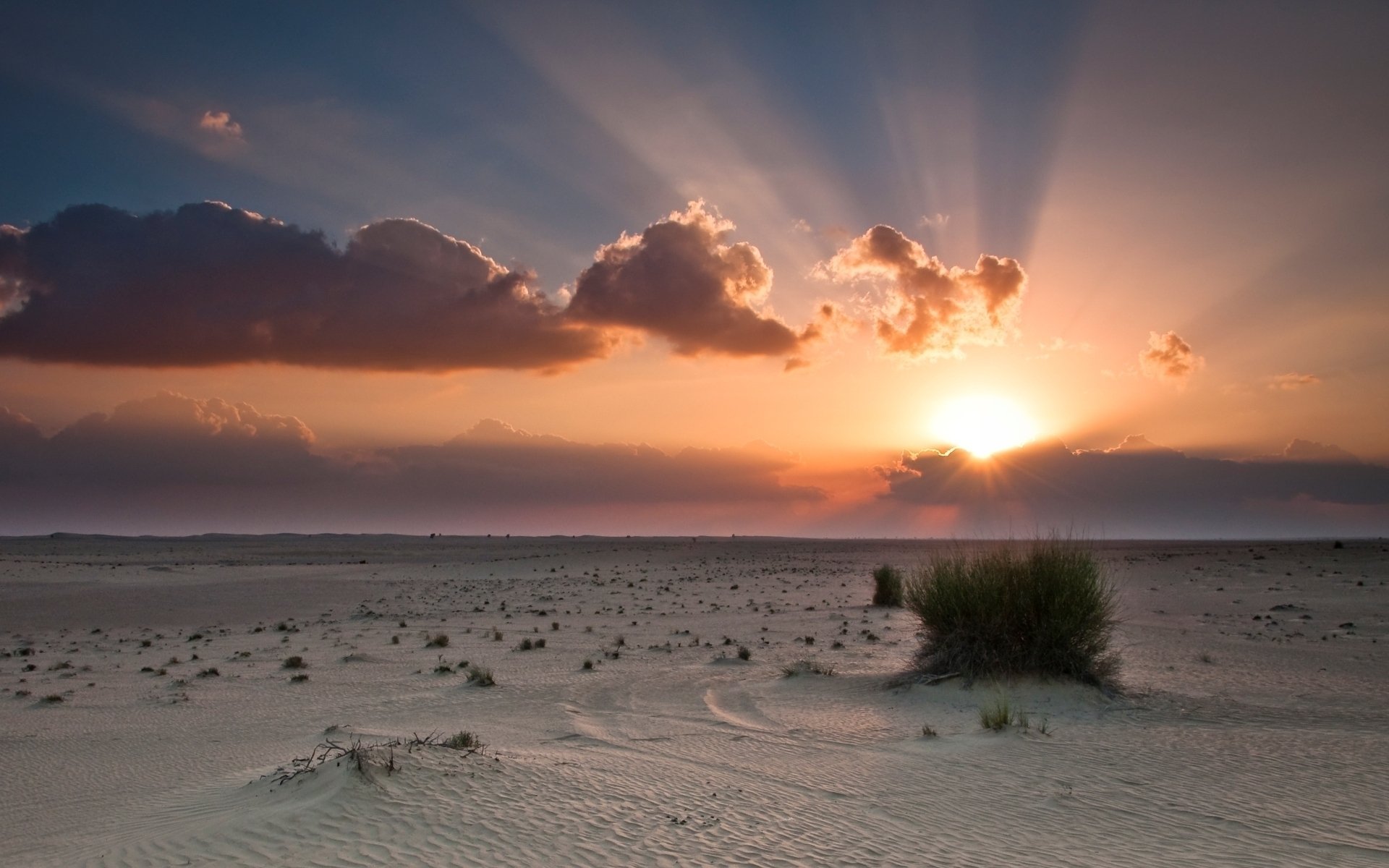 desierto puesta de sol sol arbusto cielo fondo de pantalla puesta de sol nubes naranja azul rayos de sol arena