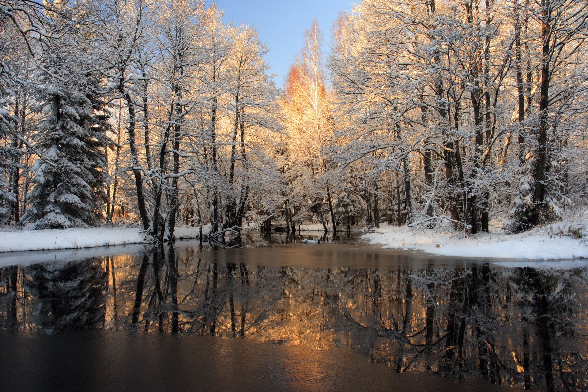 inverno foresta neve fiume