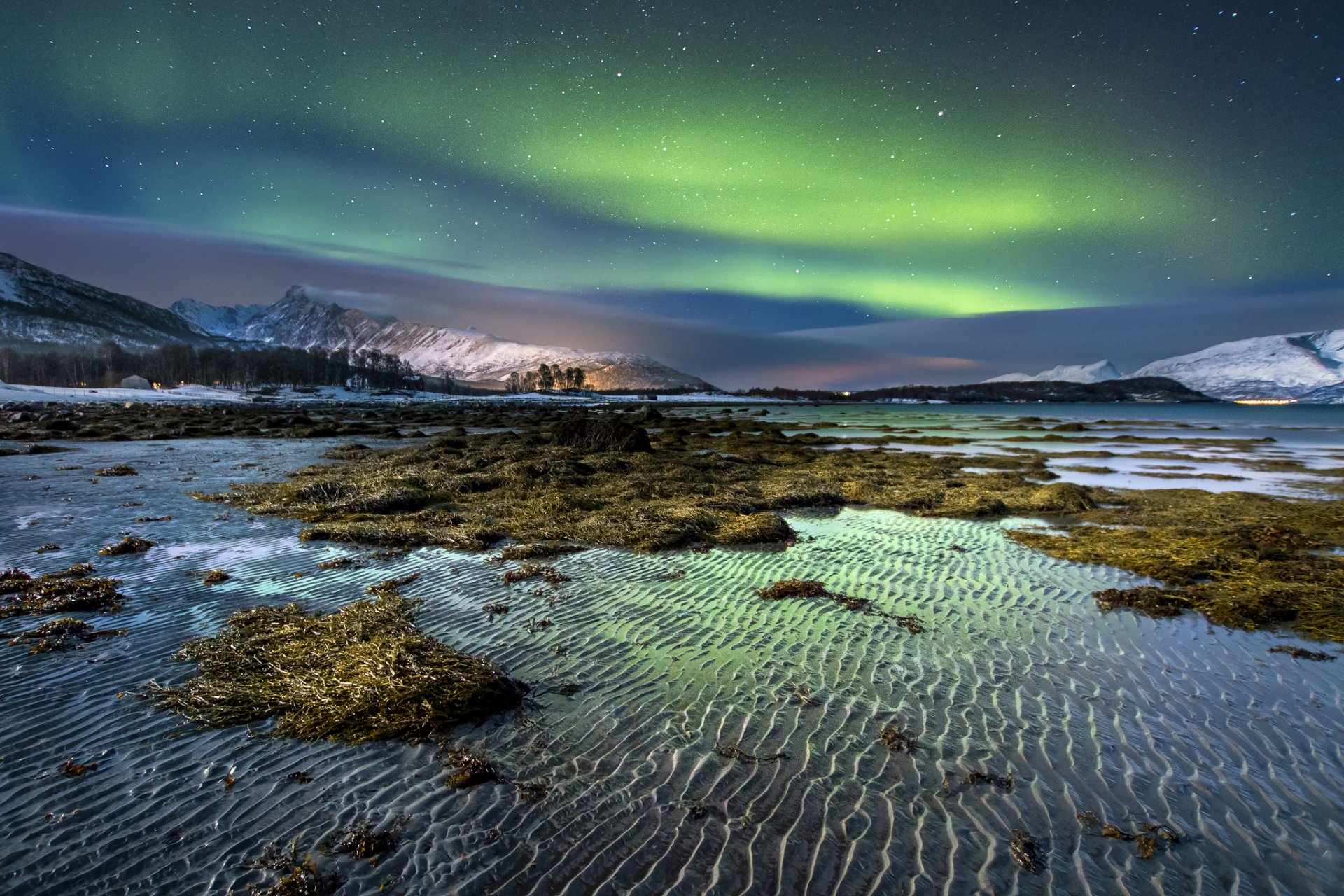 norvège île nuit hiver neige aurores boréales ciel étoiles montagnes algues eau côte sable ondulations