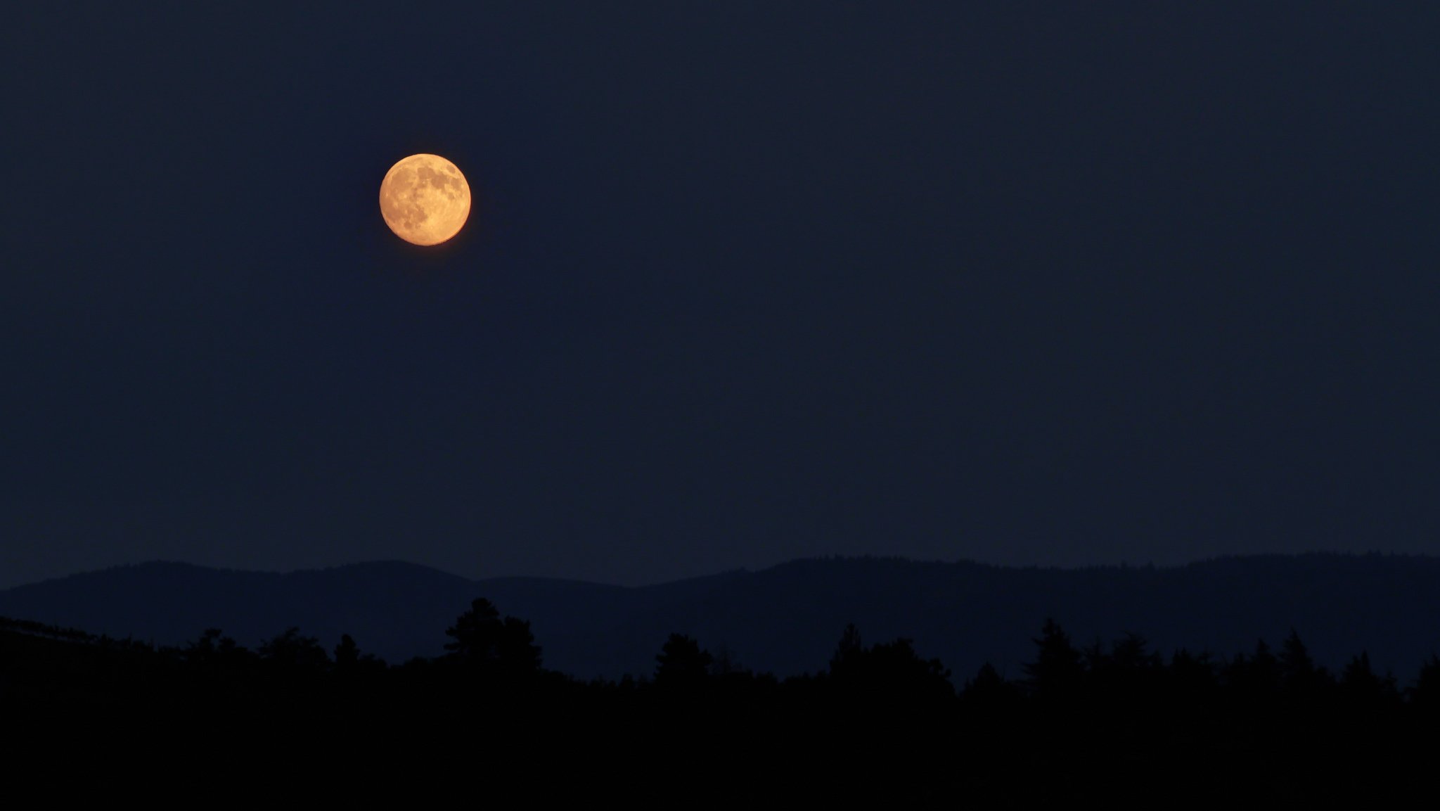 noche oscuro luna siluetas cielo