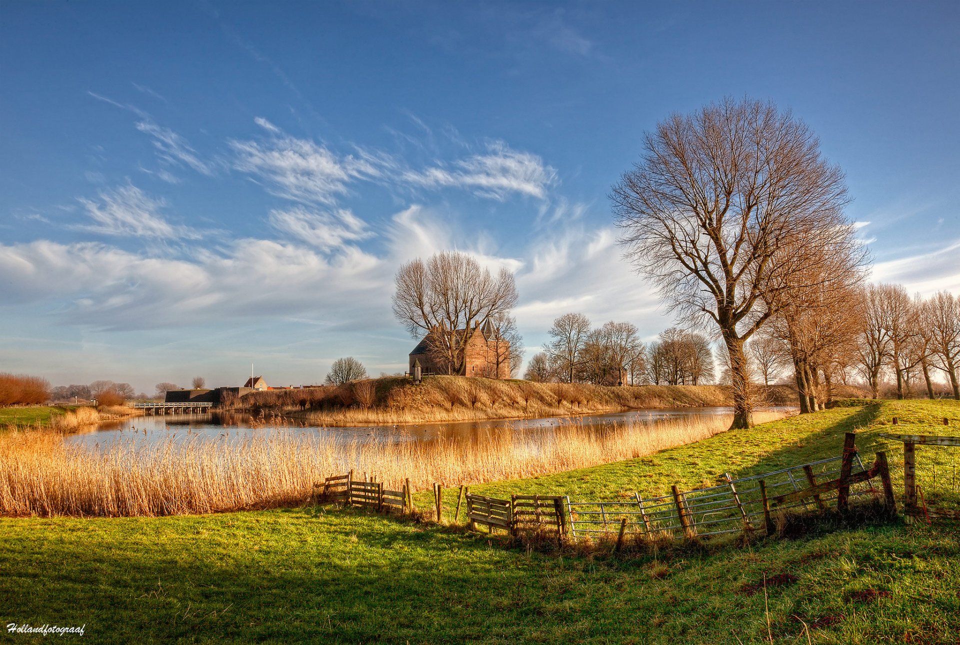 nature the netherlands netherlands river light tree