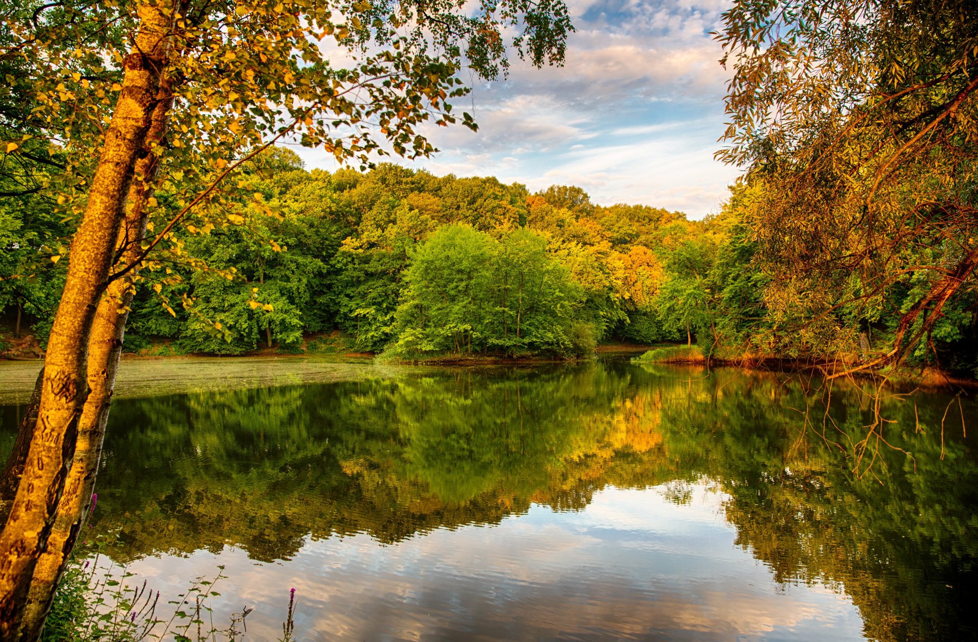 automne rivière rive arbres feuillage ciel réflexion