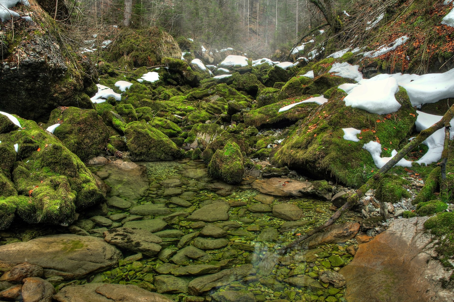 steine moos grüns schnee wasser fluss wald