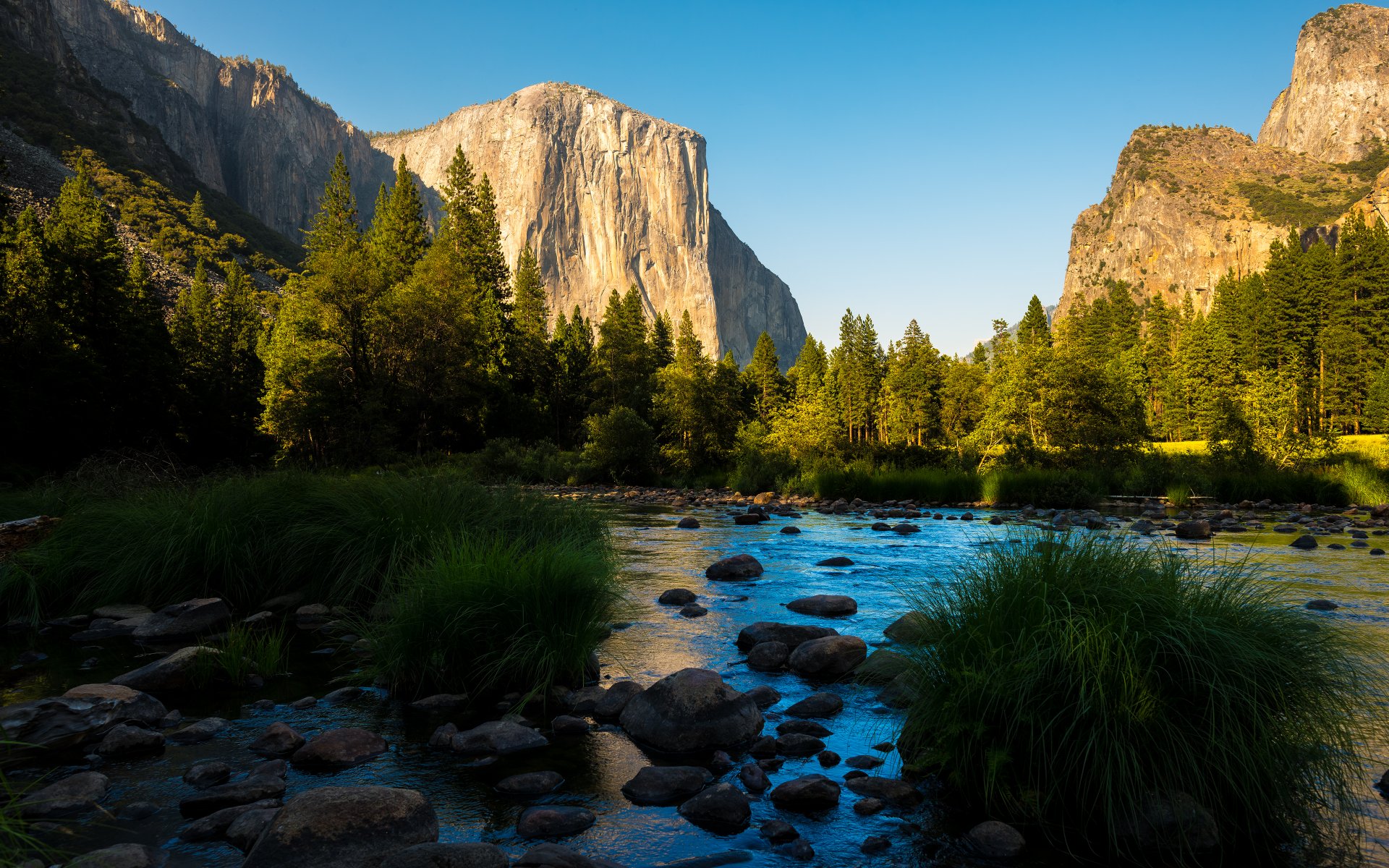 montagne foresta panoramica parco nazionale di yosemite california sierra nevada montagne valle fiume