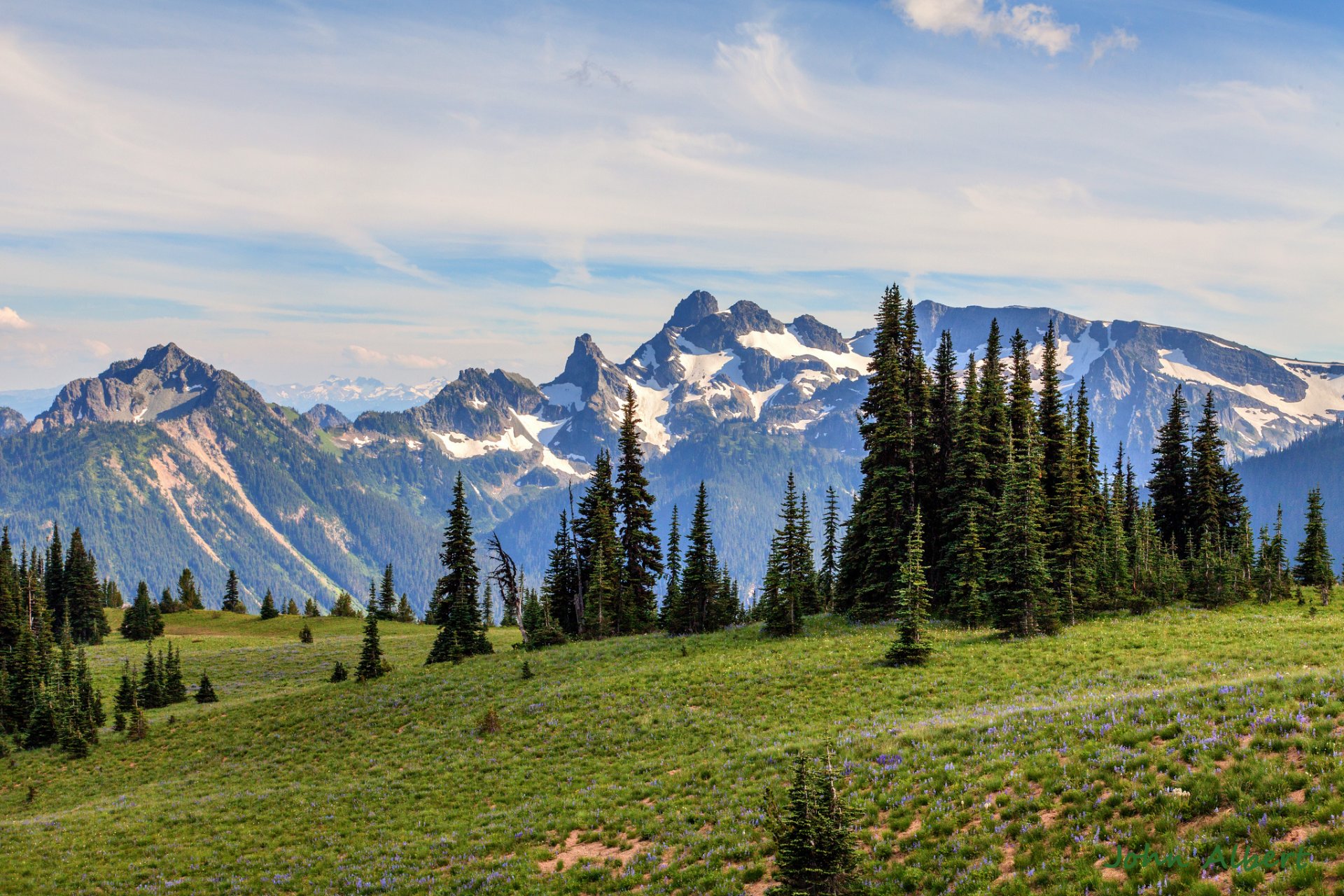 mount rainier washington estados unidos montañas abeto mañana