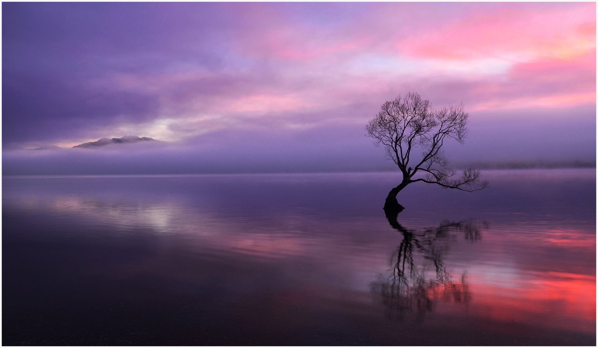 abend see baum trocken sonnenuntergang berge wolken reflexion