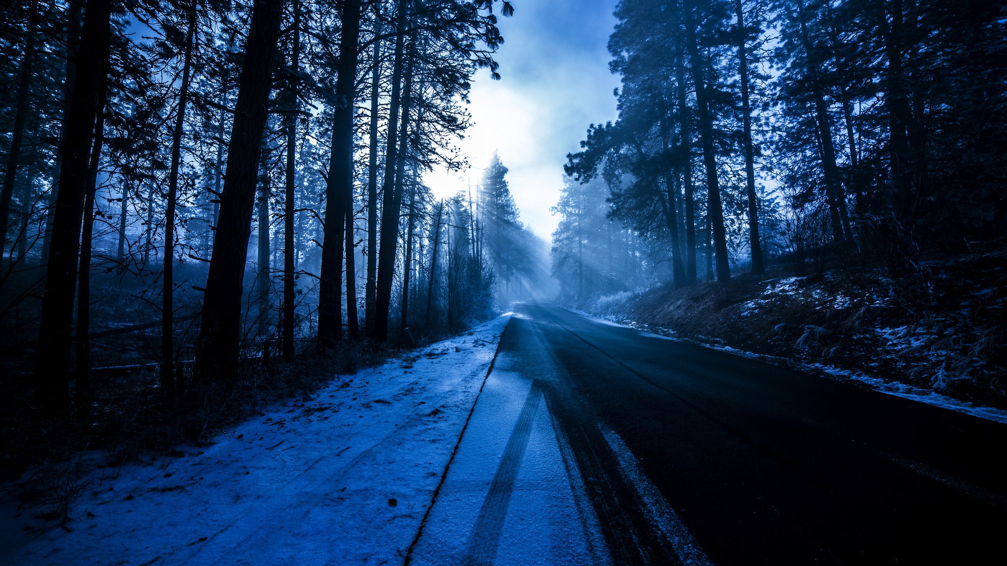 alberi foresta strada bordo strada neve inverno sole raggi natura blu