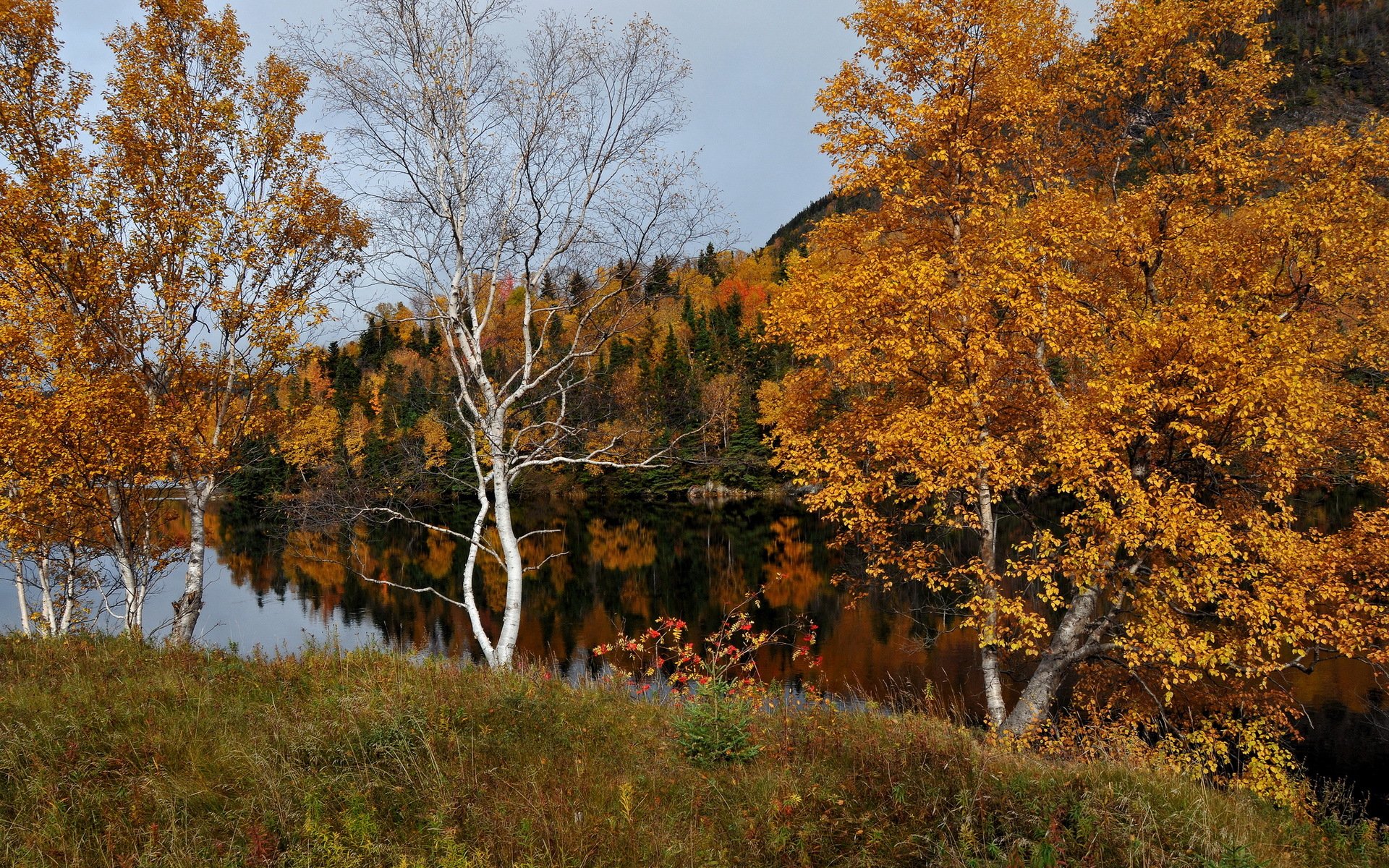 autumn river nature