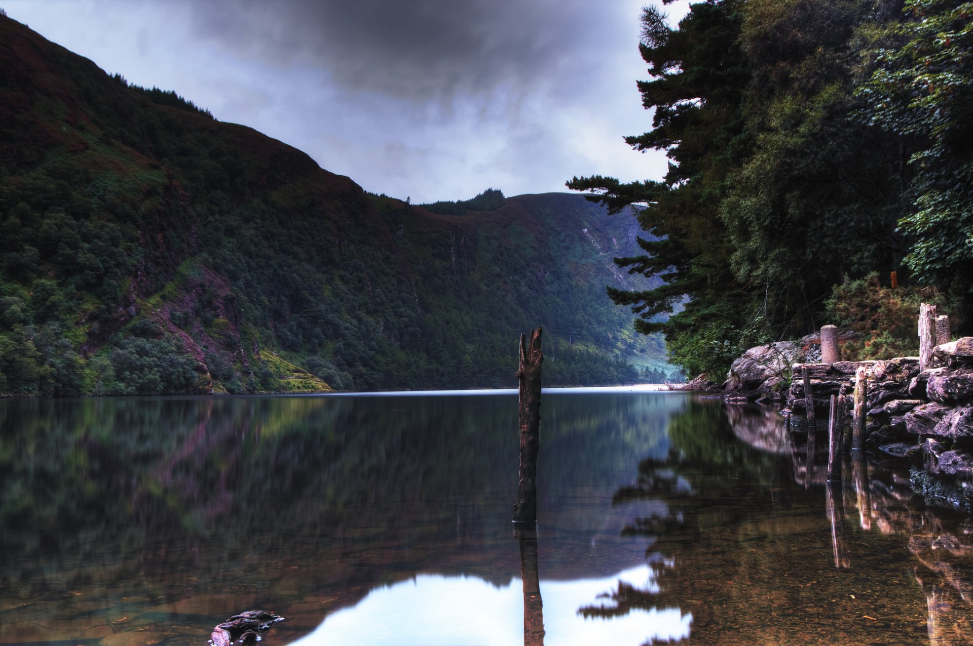 montagne foresta lago trasparenza