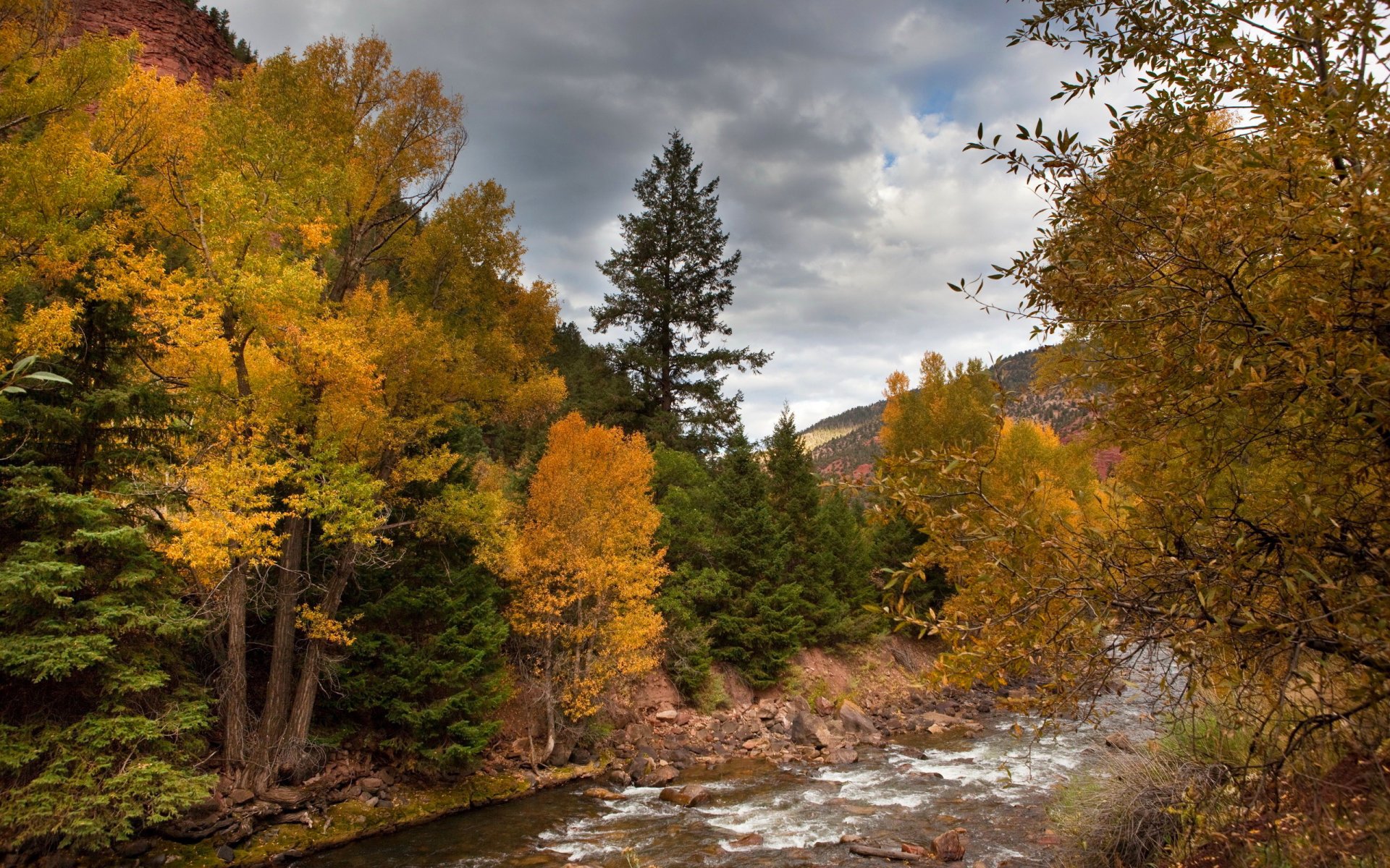 ky mountains autumn forest trees leaves river rocks clouds cloud