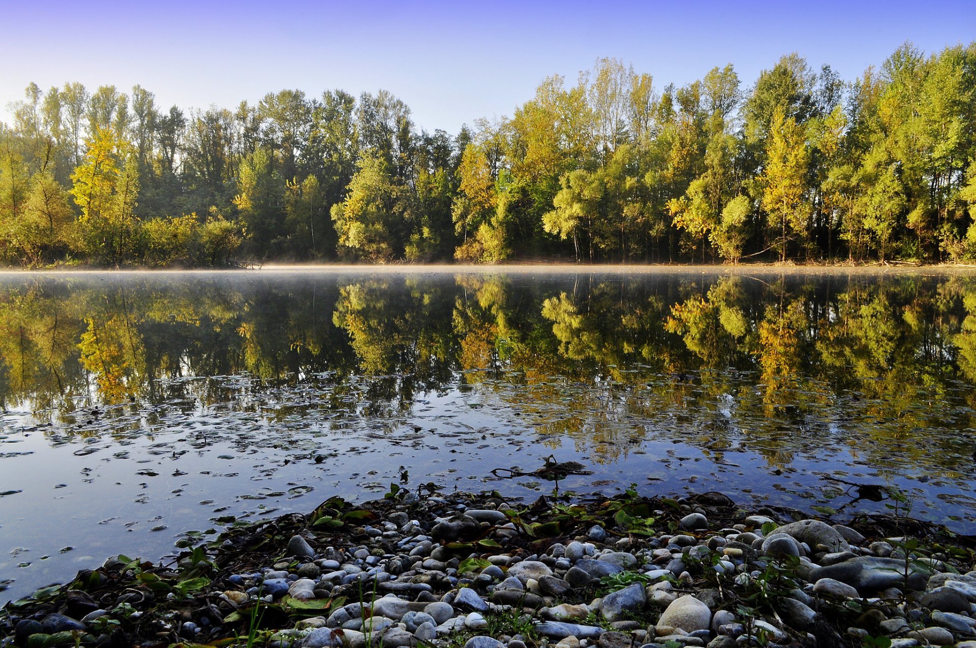 lac rivière pierres forêt arbres réflexion