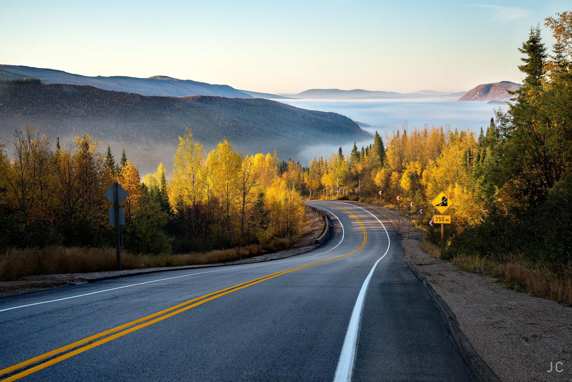 strada montagna foresta natura foschia autunno