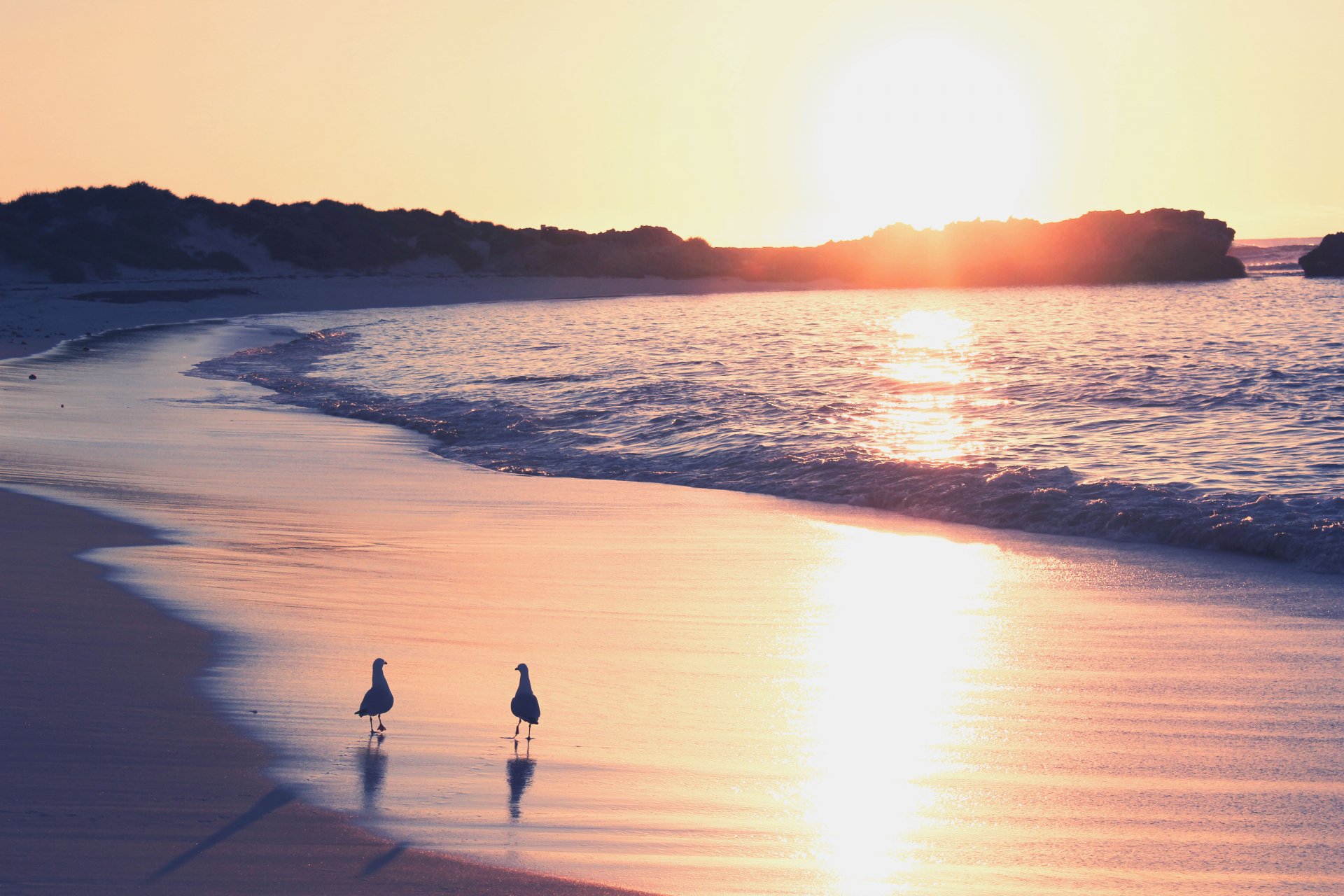 mer sable surf mouettes aube