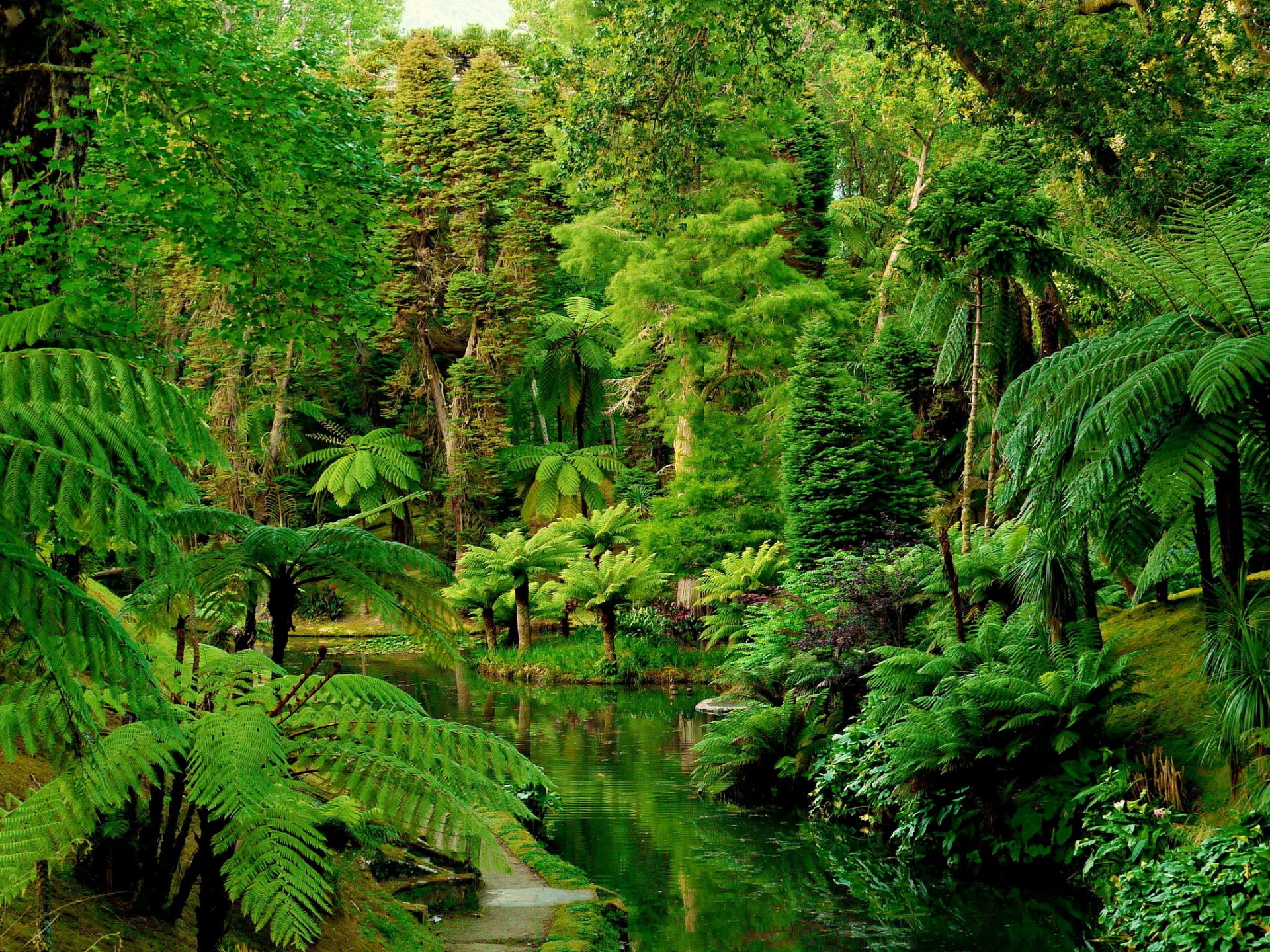 portugal gardens tropics forests botanical supplies forest tropics