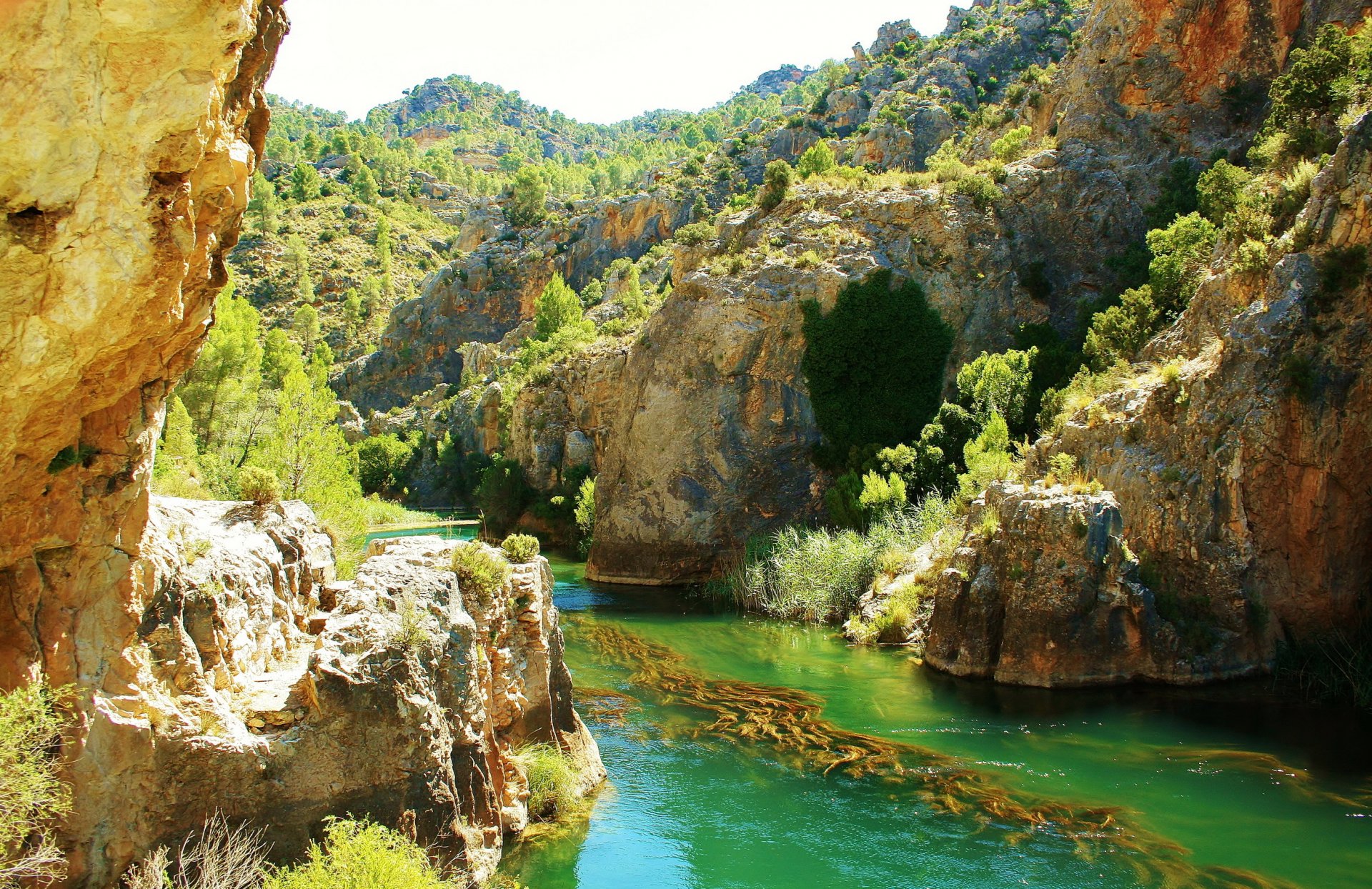 pain cuenca river rocks rock trees