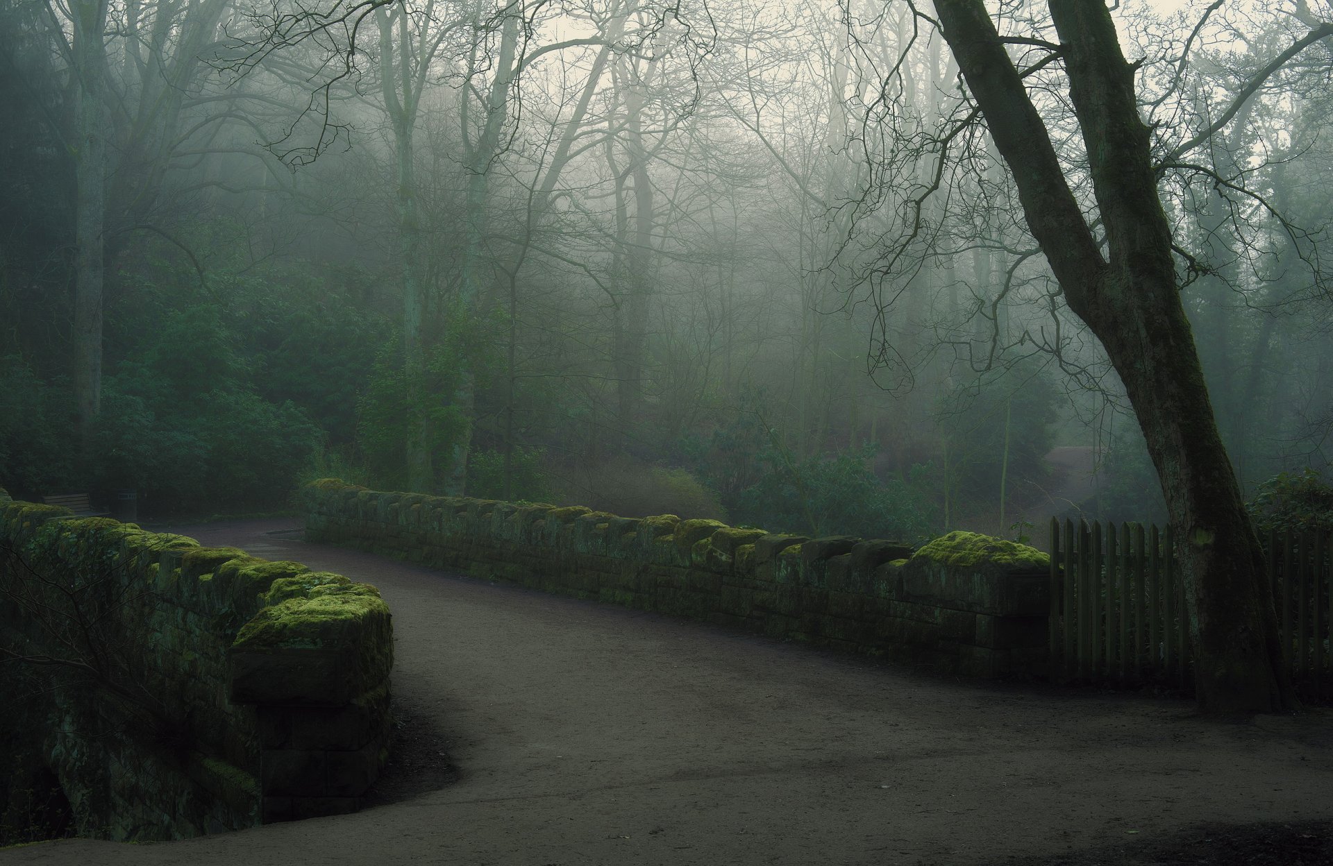 park bridge fog morning