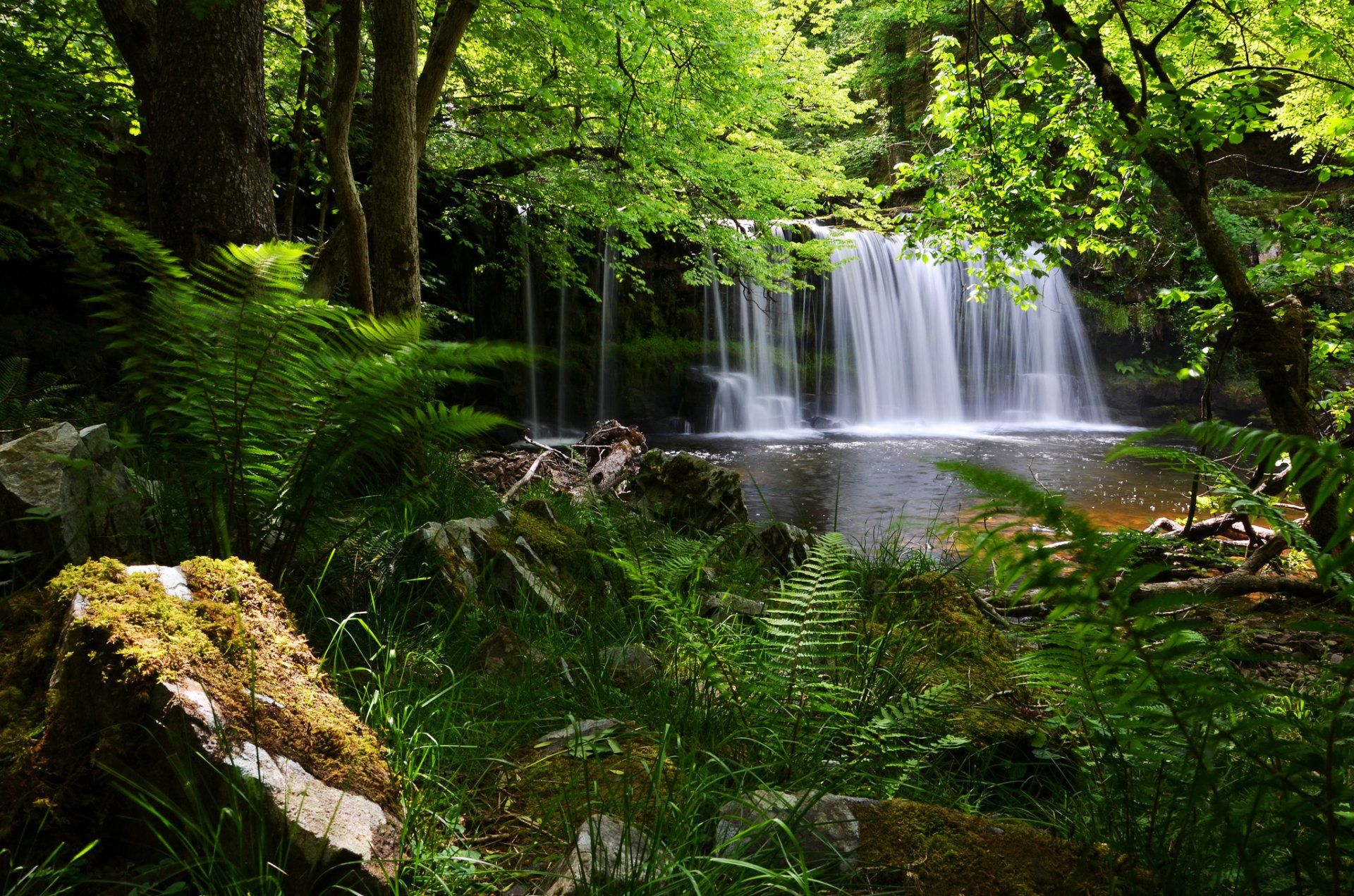 brekon signalleuchten nationalpark england wasserfall wald farn