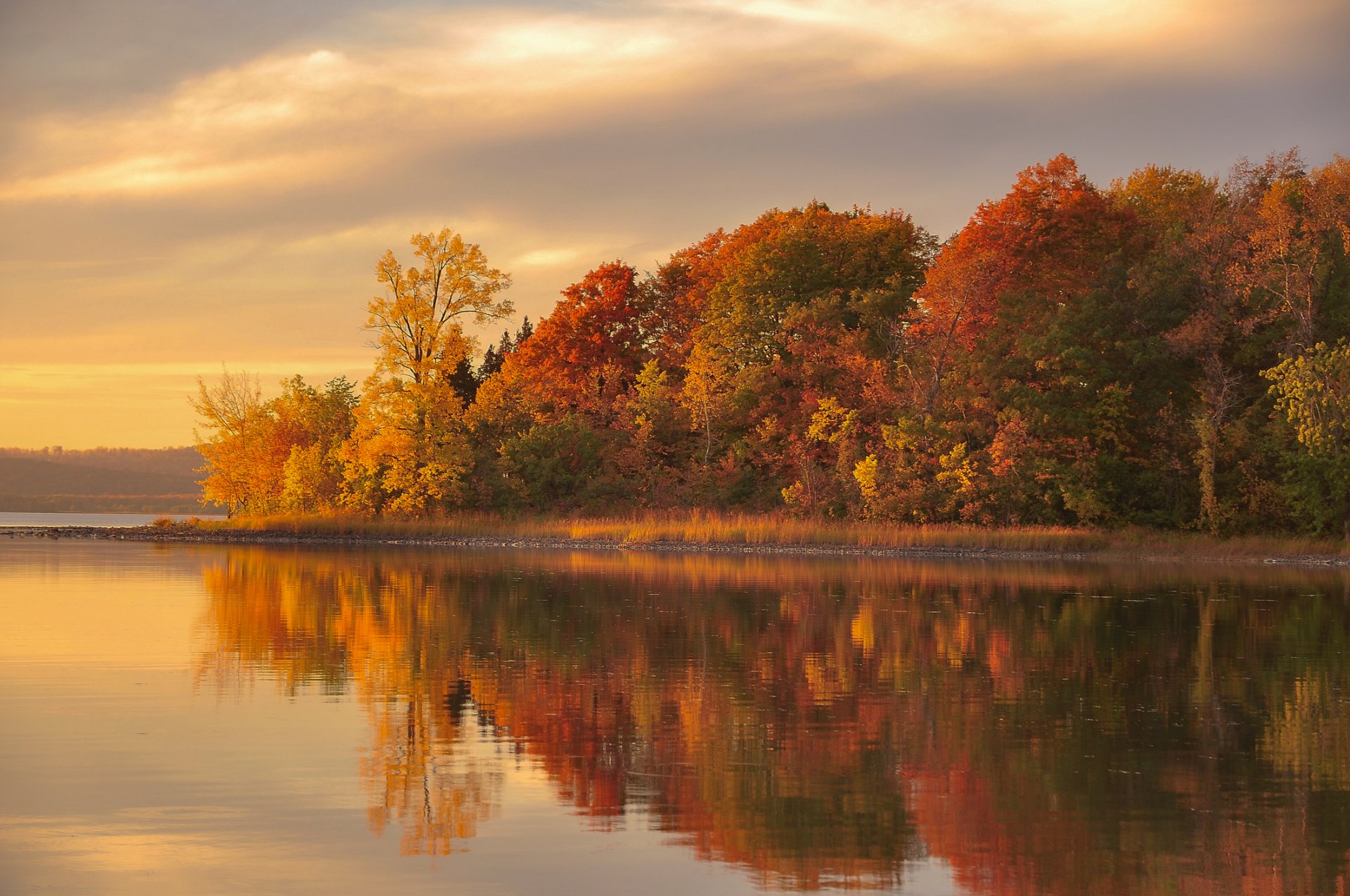 automne forêt lac réflexion