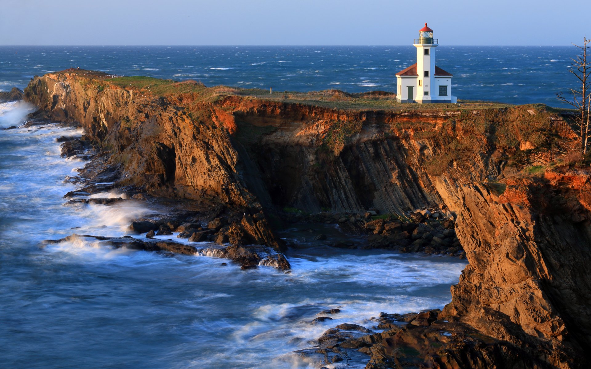 cape arago lighthouse lighthouse coast rock pacific ocean