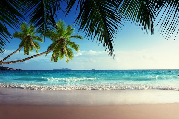 Paradis tropical, côte de la mer avec de l eau bleue