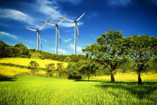 Trees in the meadow. windmills in the distance