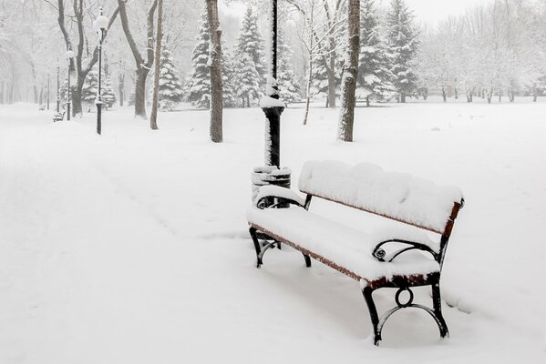 Banc recouvert de neige en hiver