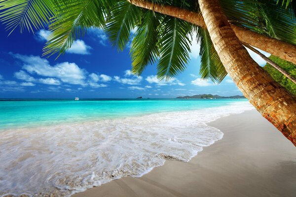 Paradise beach on the shore of the emerald sea