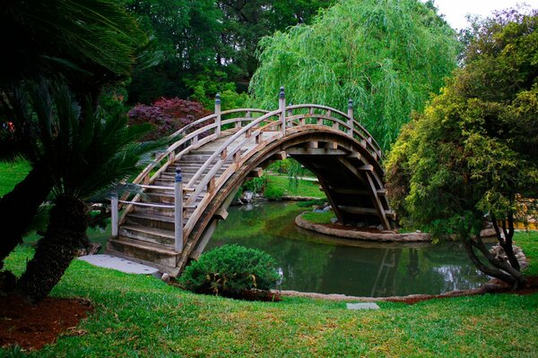 Bridge over the pond in the park