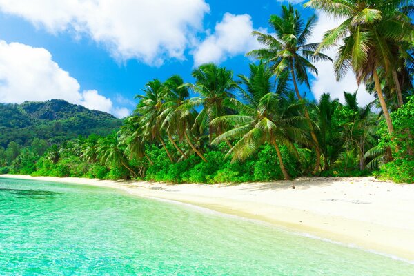 Tropischer Strand mit Smaragdwasser