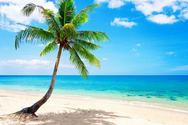 Izusrudny beach on the background of the ocean