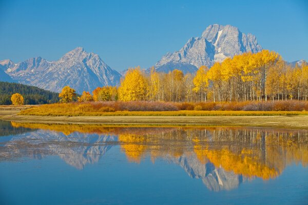 Bäume und See vor dem Hintergrund der Rocky Mountains