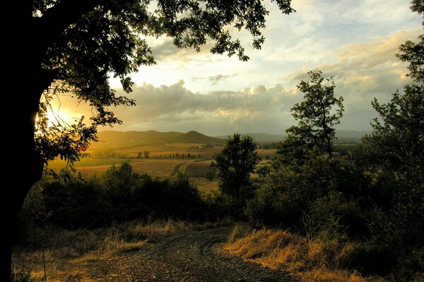 Estepa Dal bosque naturaleza