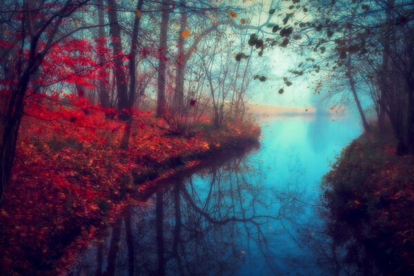 Red autumn forest with a blue river