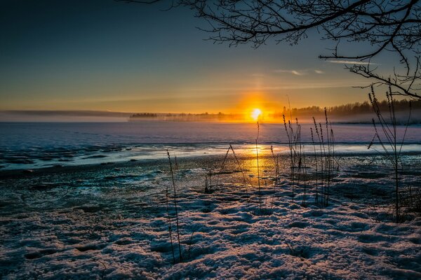 Warm sunset on the sea in the taiga