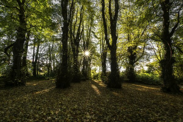 Contea di Londoderry Nell Irlanda Del Nord