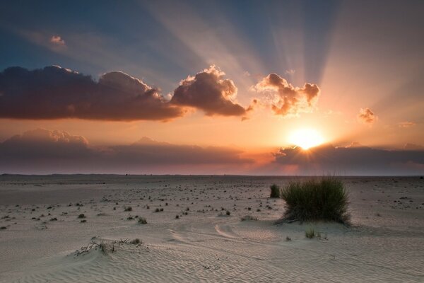 Arena blanca al atardecer en el desierto