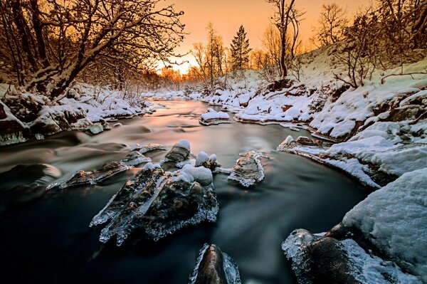 Snowy water flow among the trees