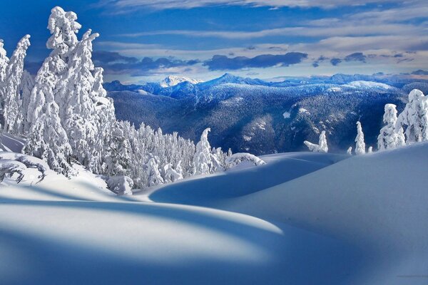 Ein flauschiger weißer Schneeball umhüllte Berge und Bäume