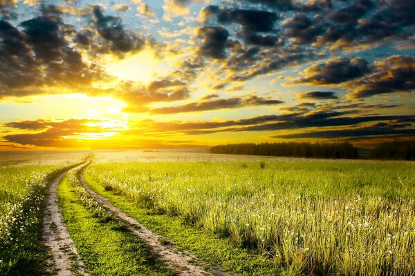 Route dans la Prairie consacrée par l aube