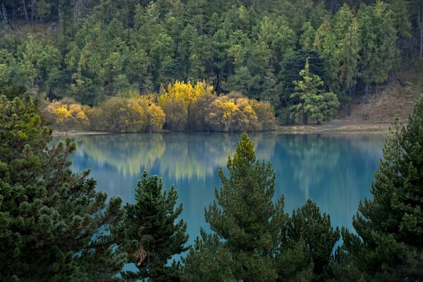 Blauer See umgeben von herbstlichen Wäldern