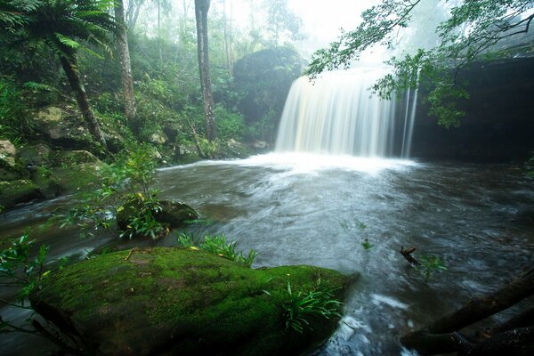 Juste le paradis sur terre. Cascade